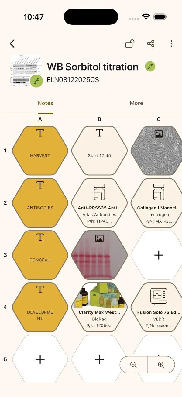 Apini public App Store screen showing a honeycomb laboratory notebook.